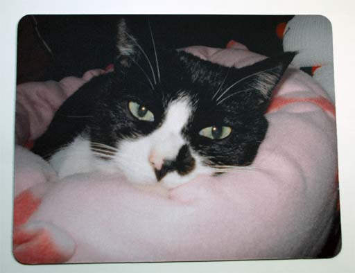 p-pad-01-cat 投稿写真から作ったマウスパッドの一例