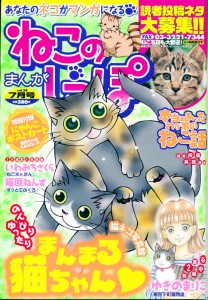 nekonoshippo7 ねこのしっぽ7月号の表紙